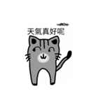 Teeth cat3（個別スタンプ：34）