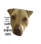 Doggie doodoo（個別スタンプ：1）