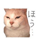 片山ターフィー（個別スタンプ：1）