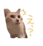 片山ターフィー（個別スタンプ：7）