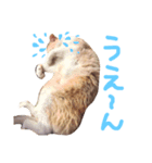 片山ターフィー（個別スタンプ：15）
