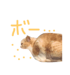 片山ターフィー（個別スタンプ：16）