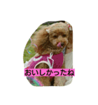 ramuda09（個別スタンプ：3）