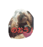 ramuda09（個別スタンプ：9）