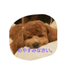 ramuda09（個別スタンプ：15）