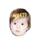 Kairi faces（個別スタンプ：1）