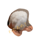 いんこのきもち   その2（個別スタンプ：3）