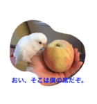 いんこのきもち   その2（個別スタンプ：4）
