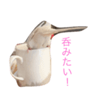 いんこのきもち   その2（個別スタンプ：7）
