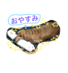 ラムアム（個別スタンプ：2）