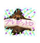 ラムアム（個別スタンプ：7）