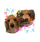 ラムアム（個別スタンプ：15）