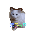 まいふぁみりーすたんぷ（個別スタンプ：4）