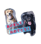 まいふぁみりーすたんぷ（個別スタンプ：8）