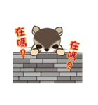 momorat3（個別スタンプ：18）