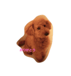 dog like music（個別スタンプ：2）