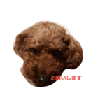 dog like music（個別スタンプ：7）