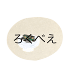 対馬あびるさんスタンプ（個別スタンプ：31）