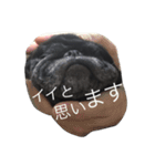 美パグのだいふくちゃん（個別スタンプ：2）