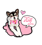 Lambo＆Leo（個別スタンプ：1）