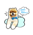 Lambo＆Leo（個別スタンプ：2）