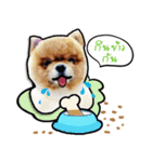 Lambo＆Leo（個別スタンプ：4）