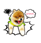 Lambo＆Leo（個別スタンプ：12）