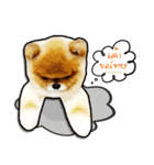 Lambo＆Leo（個別スタンプ：15）