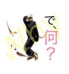 ちょもの生態（個別スタンプ：20）