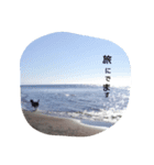 Labrador Retriever_max ＆snowbell _ 2（個別スタンプ：8）