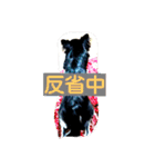 Japaneseprettypet（個別スタンプ：4）