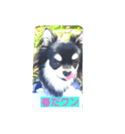 Japaneseprettypet（個別スタンプ：6）