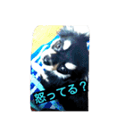 Japaneseprettypet（個別スタンプ：8）