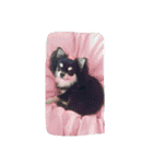 Japaneseprettypet（個別スタンプ：10）