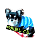 Japaneseprettypet（個別スタンプ：11）
