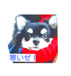 Japaneseprettypet（個別スタンプ：12）