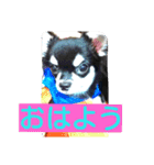 Japaneseprettypet（個別スタンプ：15）