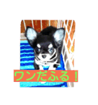 Japaneseprettypet（個別スタンプ：18）