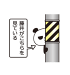 藤井パンダ（個別スタンプ：25）