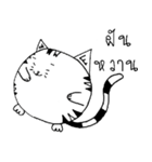 Kogi Fat Cat Basic（個別スタンプ：8）