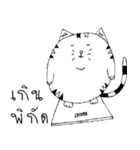 Kogi Fat Cat Basic（個別スタンプ：17）