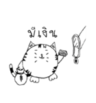 Kogi Fat Cat Basic（個別スタンプ：40）