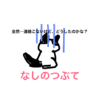 proverbCATstamp（個別スタンプ：13）