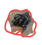 tamasiro pero（個別スタンプ：5）