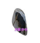 tamasiro pero（個別スタンプ：10）