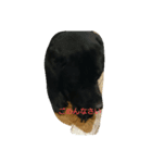 tamashlro（個別スタンプ：2）