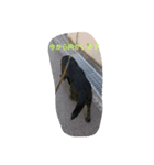 tamashlro（個別スタンプ：3）