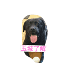 tamashlro（個別スタンプ：6）