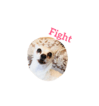 ロココ2（個別スタンプ：3）