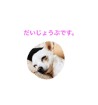 ロココ2（個別スタンプ：4）
